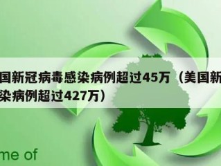 美国新冠病毒感染病例超过45万（美国新冠感染病例超过427万）