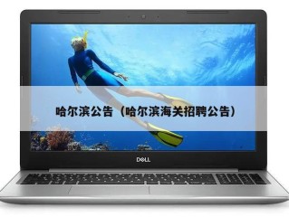 哈尔滨公告（哈尔滨海关招聘公告）
