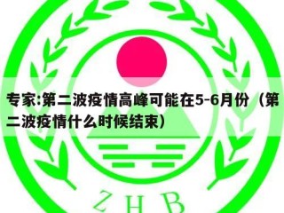 专家:第二波疫情高峰可能在5-6月份（第二波疫情什么时候结束）