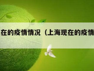 上海现在的疫情情况（上海现在的疫情是什么情况）