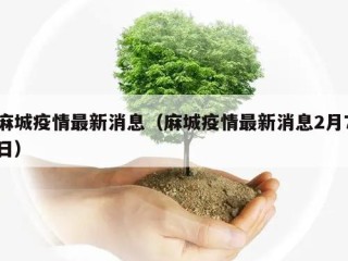 麻城疫情最新消息（麻城疫情最新消息2月7日）
