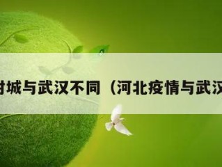 河北封城与武汉不同（河北疫情与武汉不同）