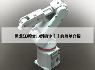 黑龙江新增53例确诊㊙️的简单介绍