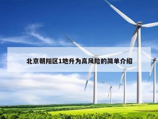 北京朝阳区1地升为高风险的简单介绍