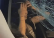 男子因妻子与前男友车上共眠，冲动砸车窗获刑