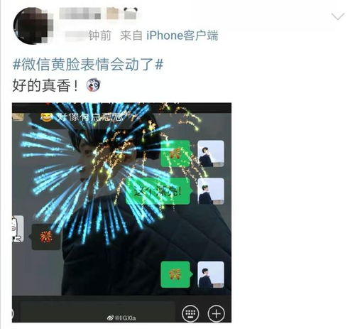 微信新功能解锁，网友体验全新考古之旅